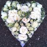 Open White Rose Heart